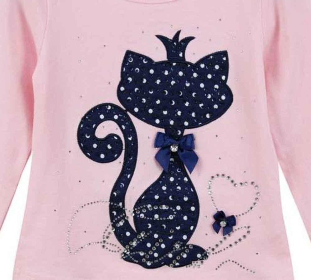 Toddlers long sleeve Top NIP